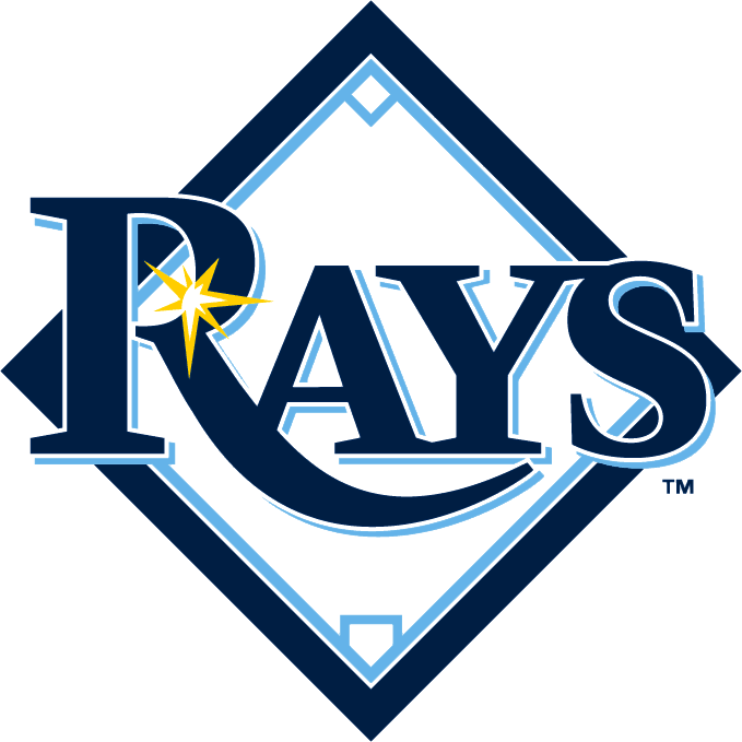 Tampa Bay Rays 2008-2018 Primary Logo iron on transfers for fabric